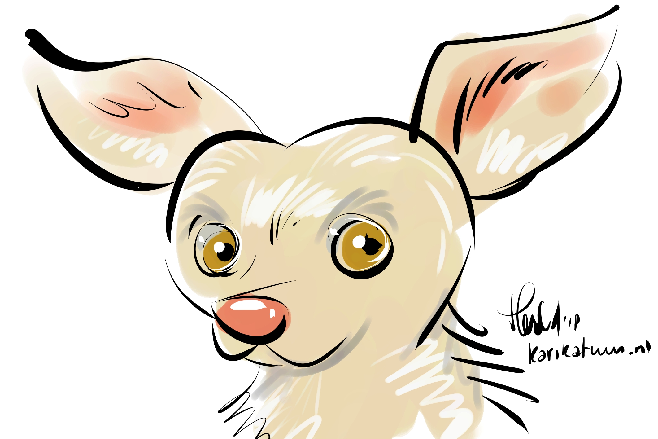 Karikatuur