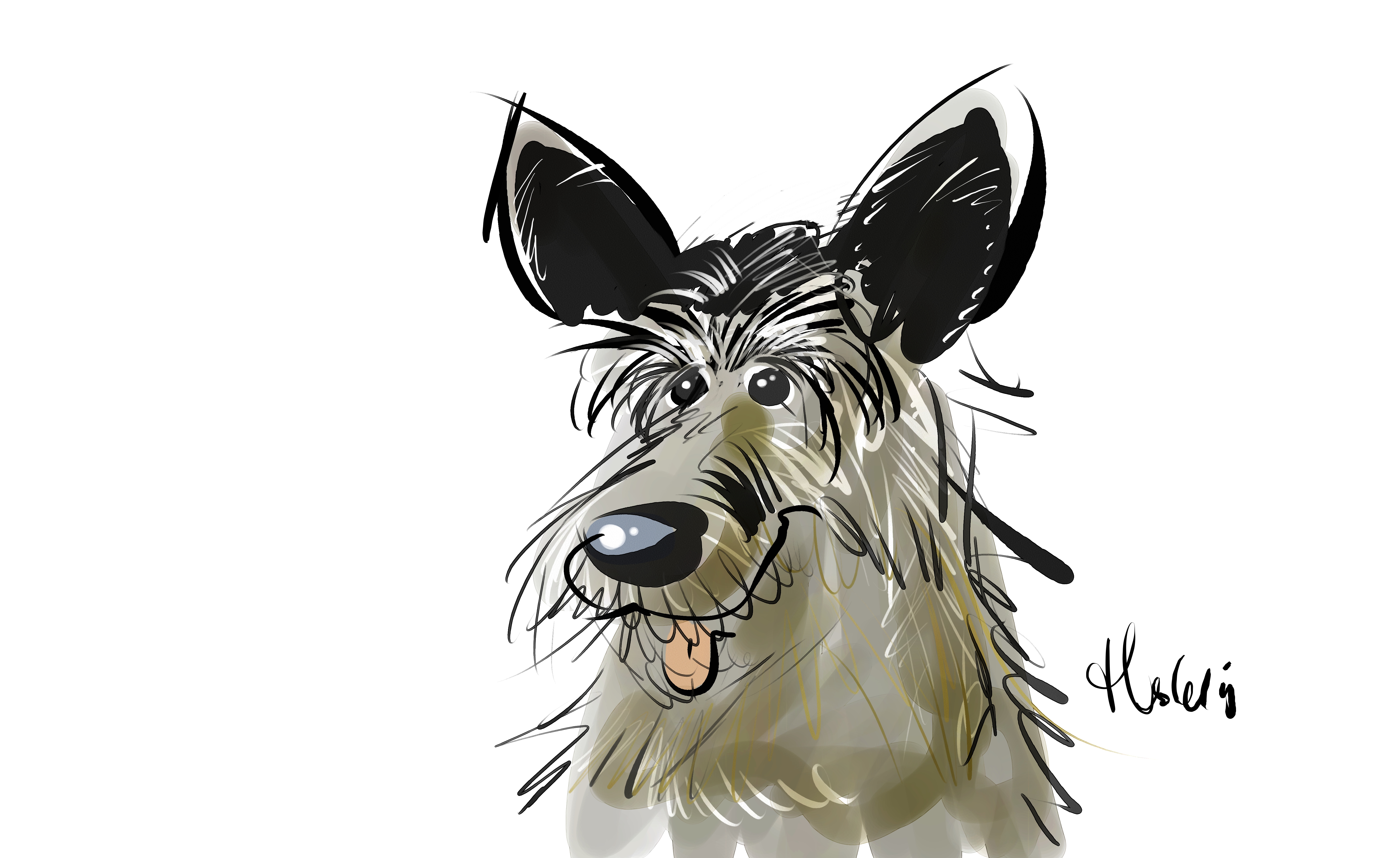 Karikatuur